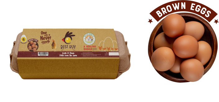 Best Buy premium brown egg packaging